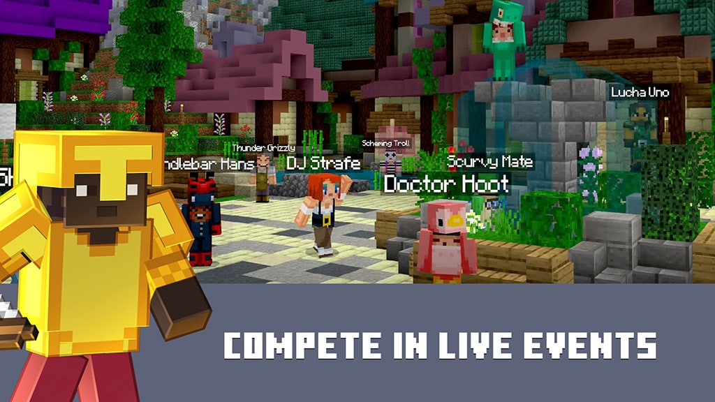 Minecraft 5