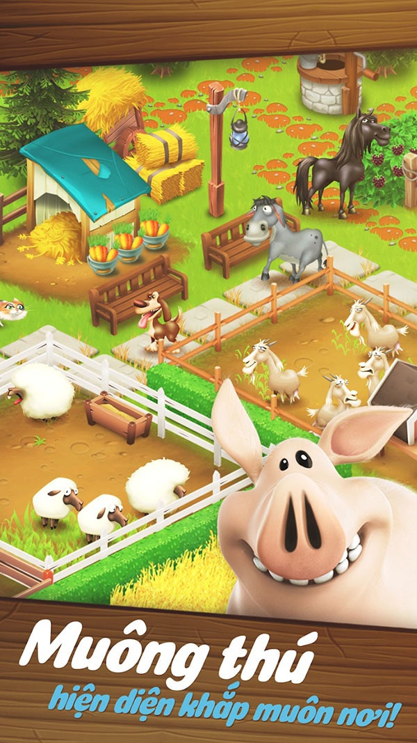 Hay Day 4