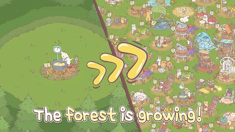 Mèo & Súp 4